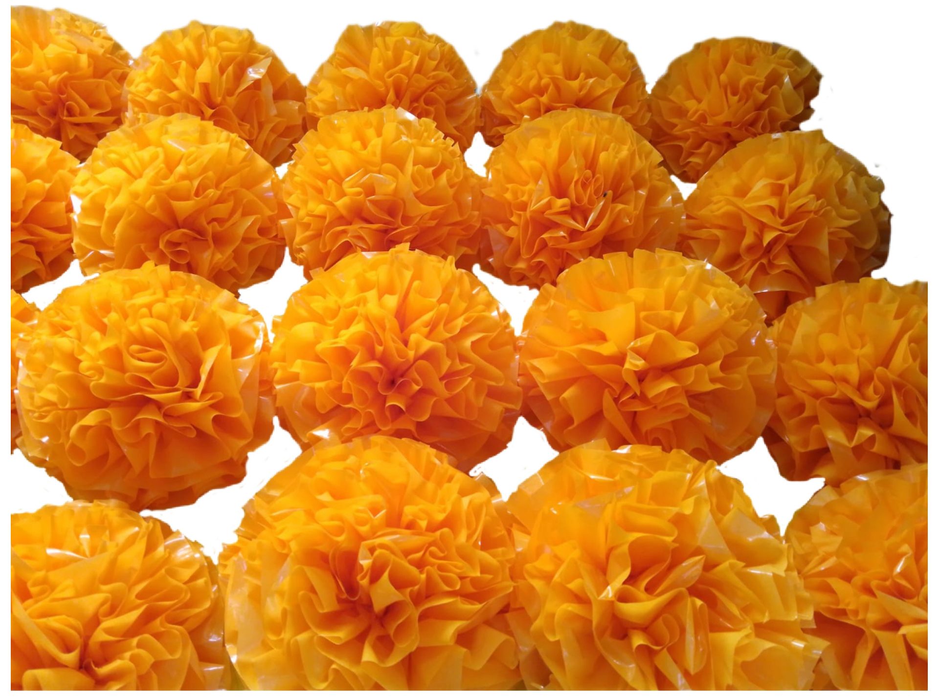 Pompon de plástico